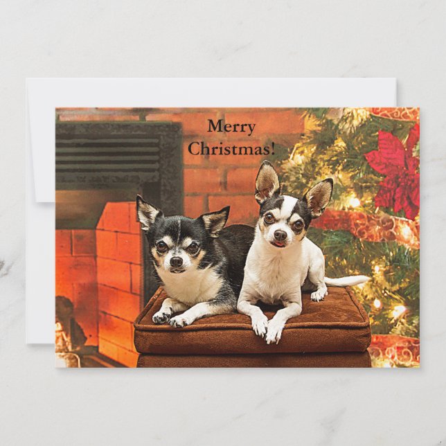 Tarjeta Festiva Chihuahua Holiday Greeting Card (Anverso)