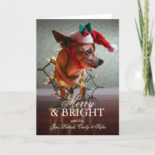 Tarjeta Festiva Chihuahua linda con un gorra de Santa