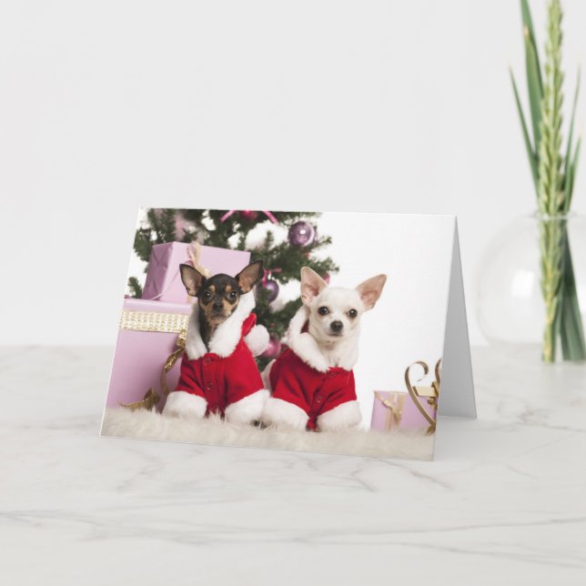Tarjeta Festiva Chihuahua que sienta y que lleva un juego del (Anverso)