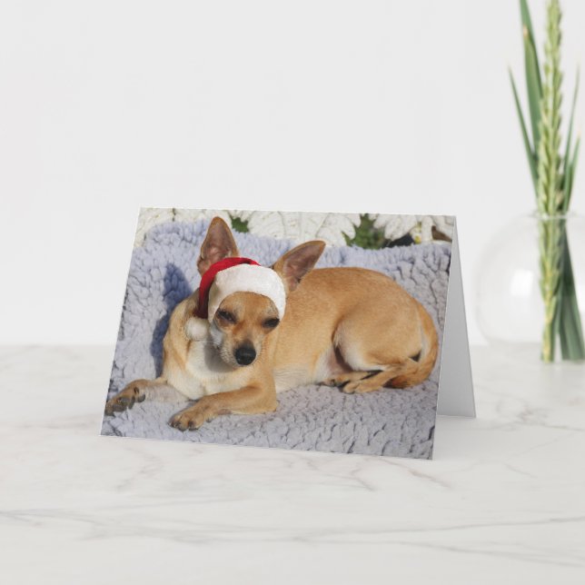 Tarjeta Festiva Chihuahua Santa (Anverso)
