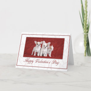 Tarjeta Festiva Chihuahua Valentcard 2