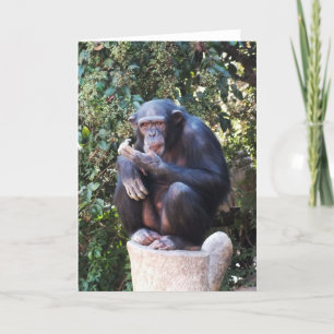 Tarjeta Festiva Chimpanzee