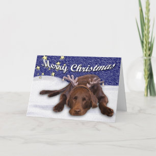 Tarjeta Festiva Chocolate Lab Antlers Personalizado de fotos Texto