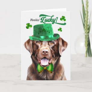 Tarjeta Festiva Chocolate Lab Dog Feelin' Lucky St Patrick's Day