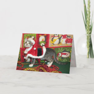Tarjeta Festiva Chop de cerdo como Santa Claus - Navidades gatos/g
