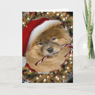 Tarjeta Festiva Chow Chow Navidades Candy Cane Cards