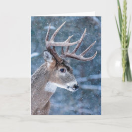Tarjeta Festiva Christmas Buck