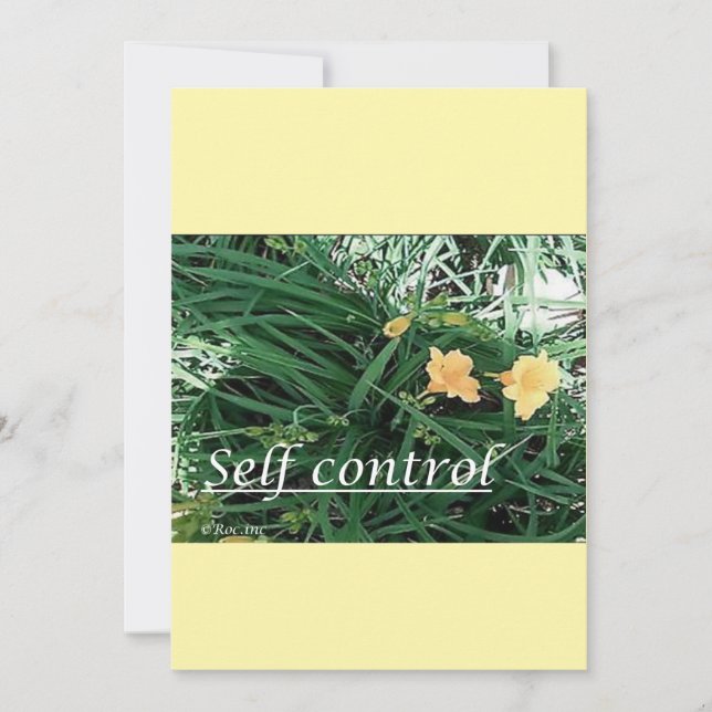 Tarjeta Festiva christmas card---self control (Anverso)