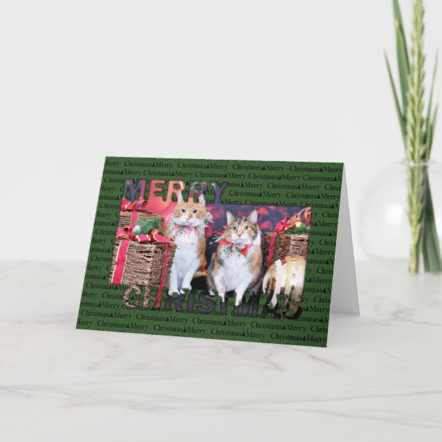Tarjeta Festiva Christmas - Cat - Butter and Piggy (Anverso)