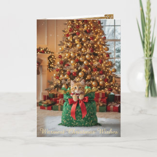 Tarjeta Festiva Christmas Decorative Card