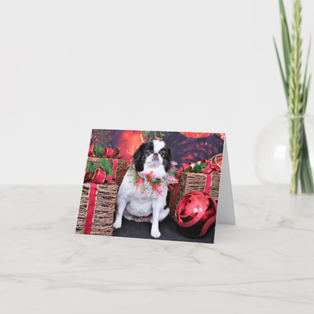 Tarjeta Festiva Christmas - Japanese Chin - Oreo (Anverso)
