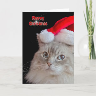 Tarjeta Festiva Christmas Ragdoll Cat