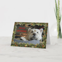 Tarjeta Festiva Christmas Westie with Garland Photo Greeting Card