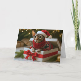 Tarjeta Festiva Christmas Whiskers & Wrinkles Card