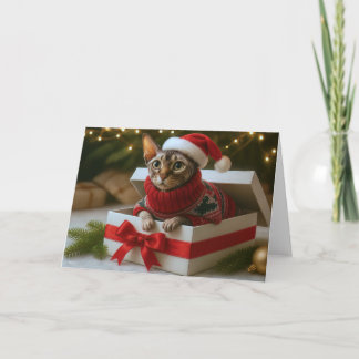 Tarjeta Festiva Christmas Whiskers & Wrinkles Card