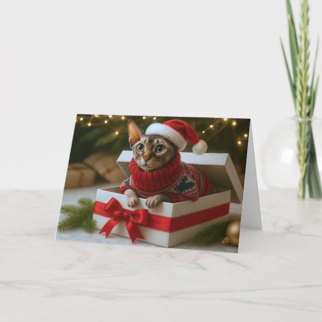 Tarjeta Festiva Christmas Whiskers & Wrinkles Card (Anverso)