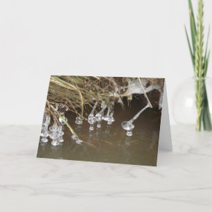 Tarjeta Festiva Ciclos