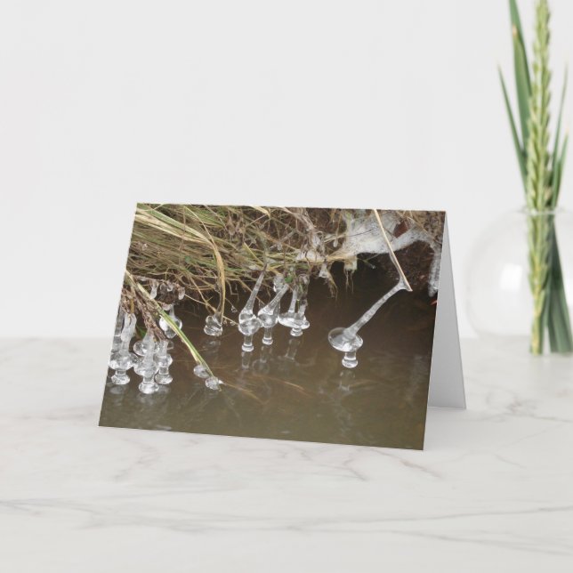 Tarjeta Festiva Ciclos (Anverso)