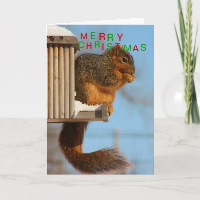 Tarjeta Festiva Cierre de la ardilla de la cola del Fox para (Anverso)