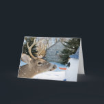 Tarjeta Festiva ciervo negro con muñeca de nieve<br><div class="desc">Un ciervo de cerdo que va por la nariz de zanahoria del muñeco de nieve con copos de nieve</div>