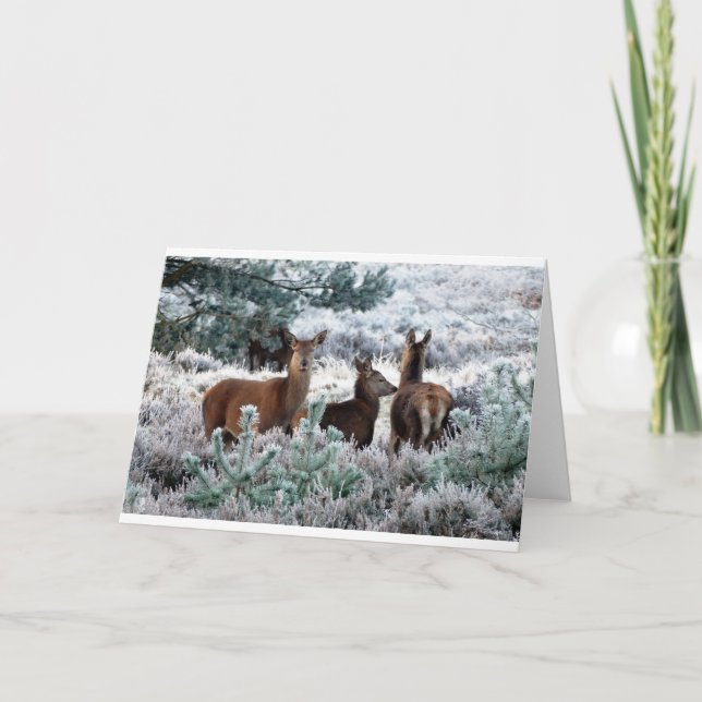 Tarjeta Festiva Ciervos en una escena del invierno (Anverso)