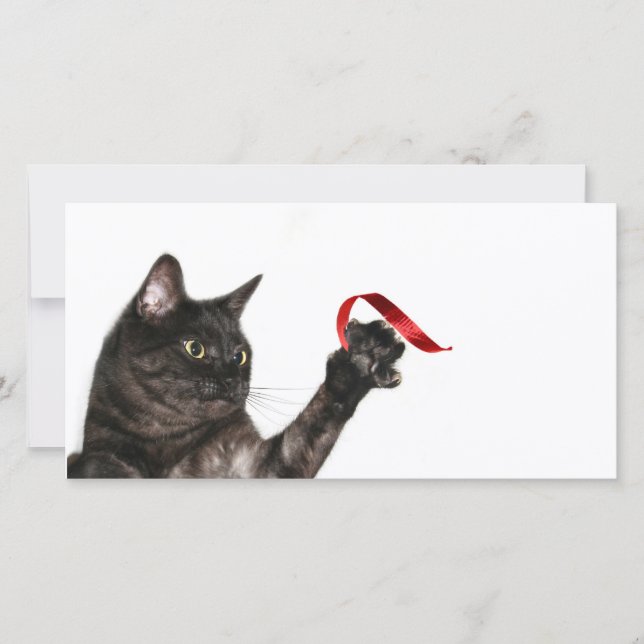 Tarjeta Festiva cinta de Navidades del gato (Anverso)