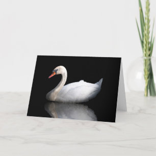 Tarjeta Festiva cisne blanco sobre negro