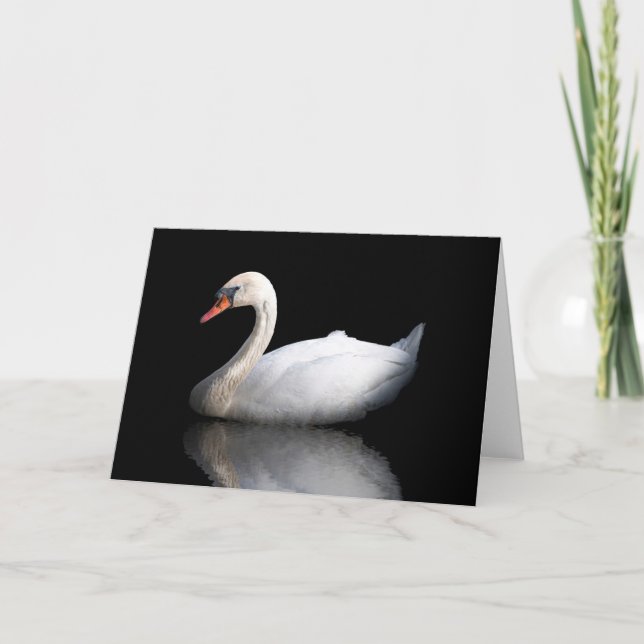 Tarjeta Festiva cisne blanco sobre negro (Anverso)