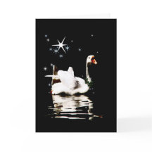 Cisne Starlight