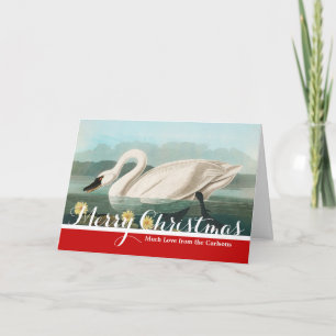 Tarjeta Festiva cisnes de agua blanca de cisne audubon