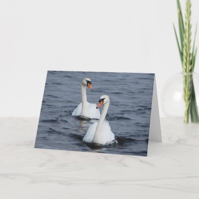 Tarjeta Festiva Cisnes en amor (Anverso)