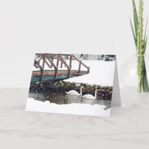 Tarjeta Festiva Cisnes en invierno