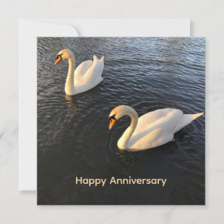 Tarjeta Festiva Cisnes hermosos Aniversario