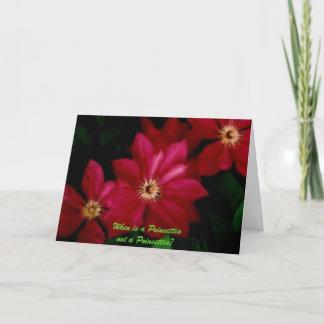 Tarjeta Festiva Clematis_1, ¿Cuándo una Poinsettia no es una Poins