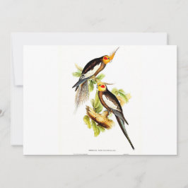 Tarjeta Festiva Cockatoo Parakeet