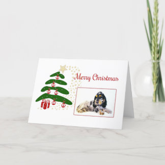Tarjeta Festiva Cocker Spaniel inglés
