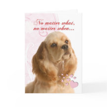 Cocker Spaniel Valentine