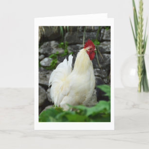 Tarjeta Festiva Cockerel en Madeira