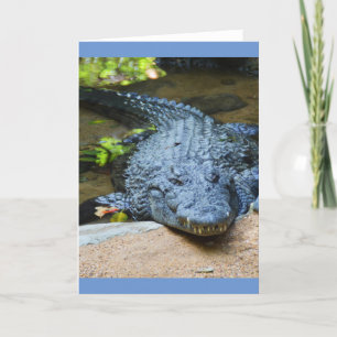 Tarjeta Festiva Cocodrilo