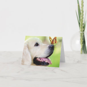 Tarjeta Festiva Cojín decorativo De Labrador Y Mariposa