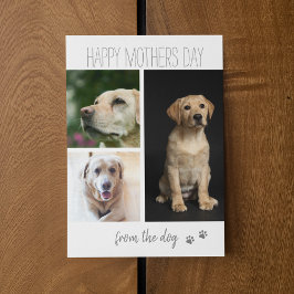 Tarjeta Festiva Colaje de 3 Fotos Moderno | De parte del Perro