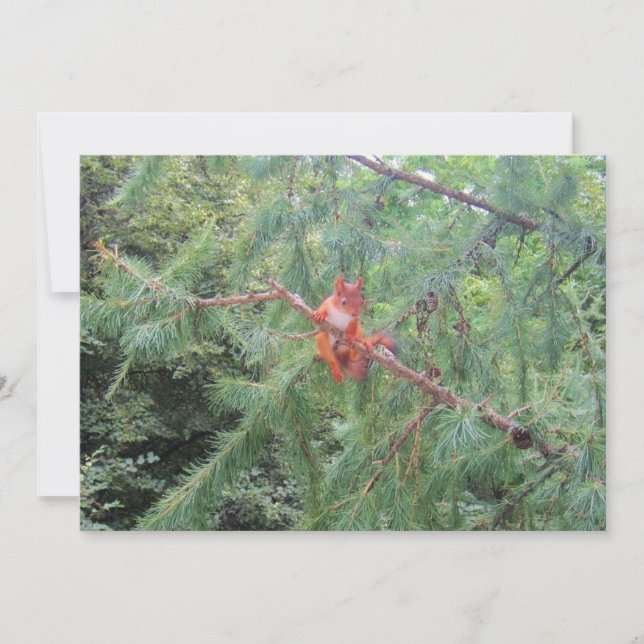 Tarjeta Festiva Colgando ahí (Anverso)