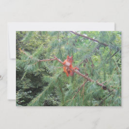 Tarjeta Festiva Colgando ahí