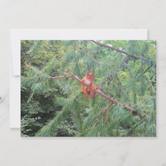 Tarjeta Festiva Colgando ahí