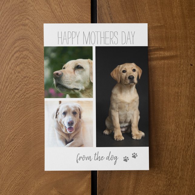 Tarjeta Festiva Collage de 3 fotos moderno | De parte del perro (Subido por el creador)
