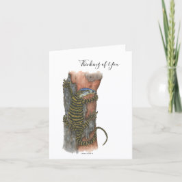Tarjeta Festiva Collection Australian Lizard Note Card