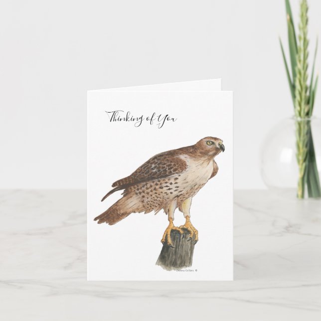 Tarjeta Festiva Collection Hawk Note Card (Anverso)