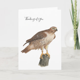 Tarjeta Festiva Collection Hawk Note Card