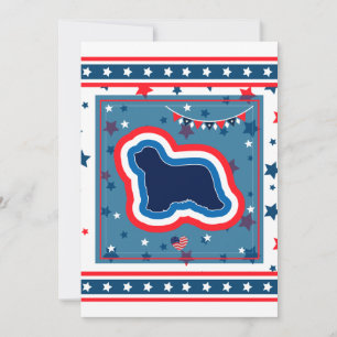 Tarjeta Festiva Collie Barbudo Patriótico Rojo Blanco Azul 4 de Ju