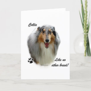 Tarjeta Festiva Collie como ninguna otra raza